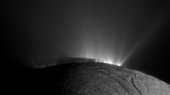 Complex organics bubble from the depths of ocean-world Enceladus
