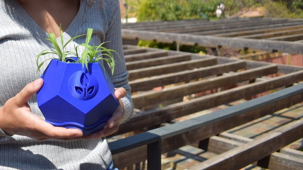 Lunar plant pot